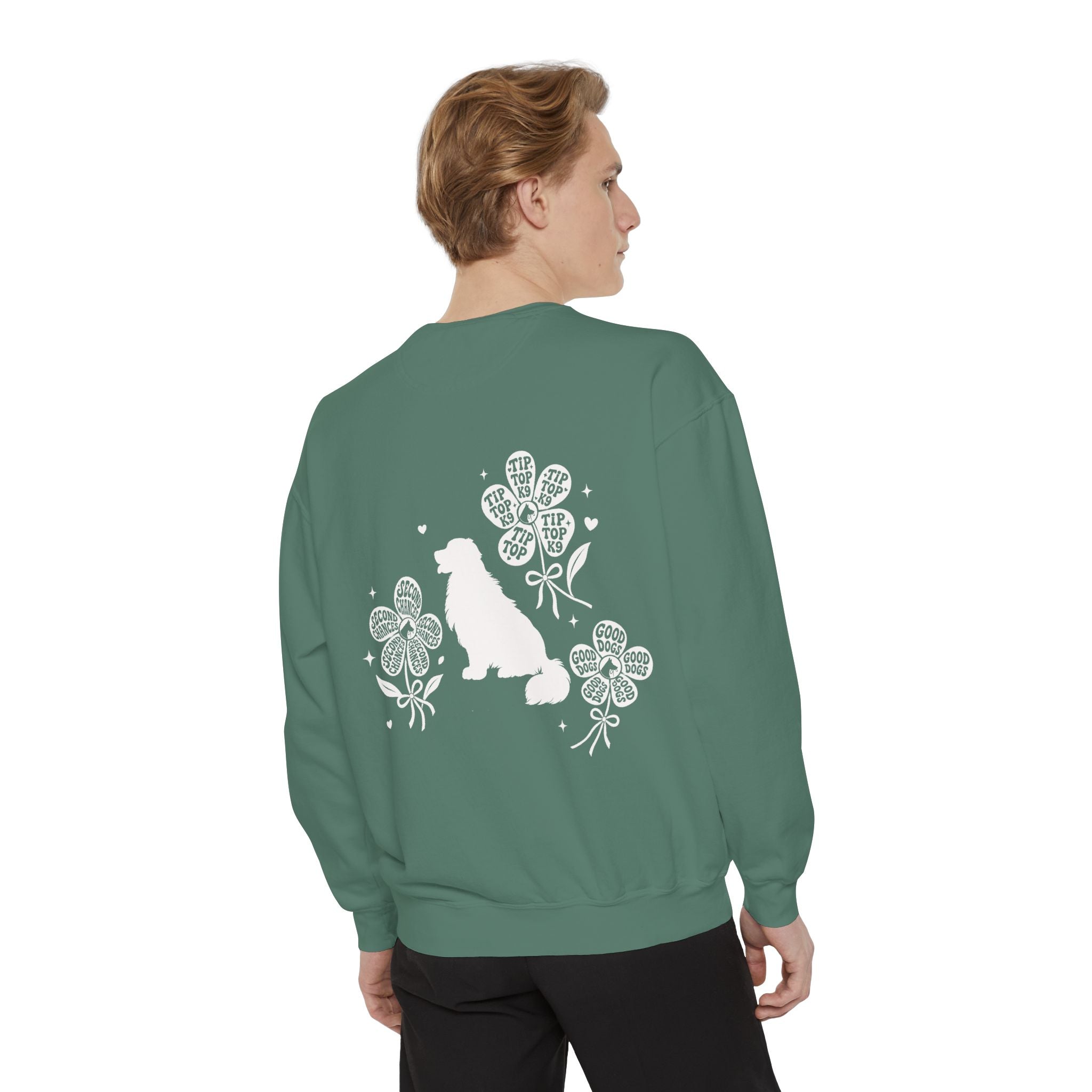 "April Showers Bring May Flowers" Inspired Dog Training Hoodie