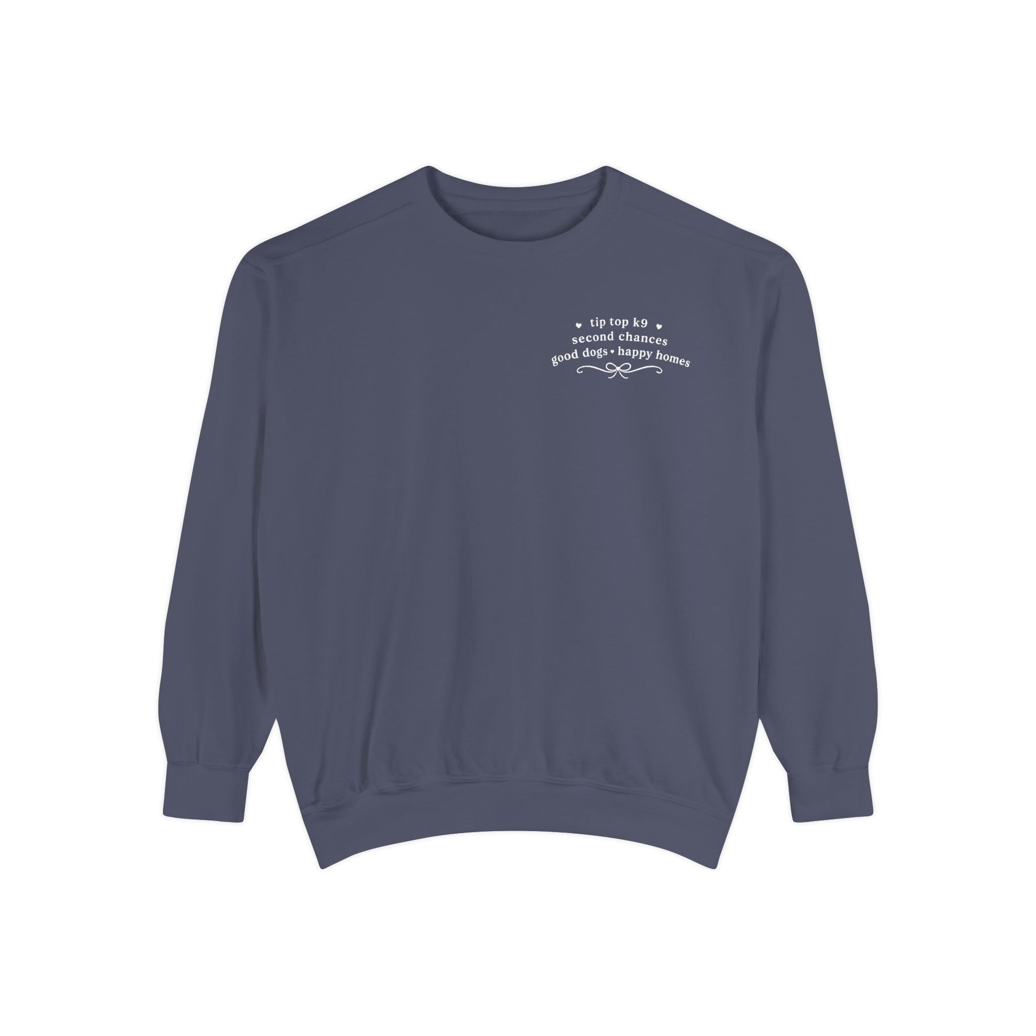 "April Showers Bring May Flowers" Inspired Dog Training Hoodie