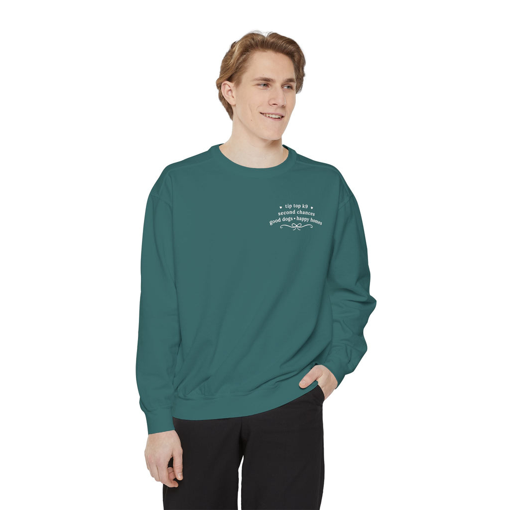 "April Showers Bring May Flowers" Inspired Dog Training Hoodie