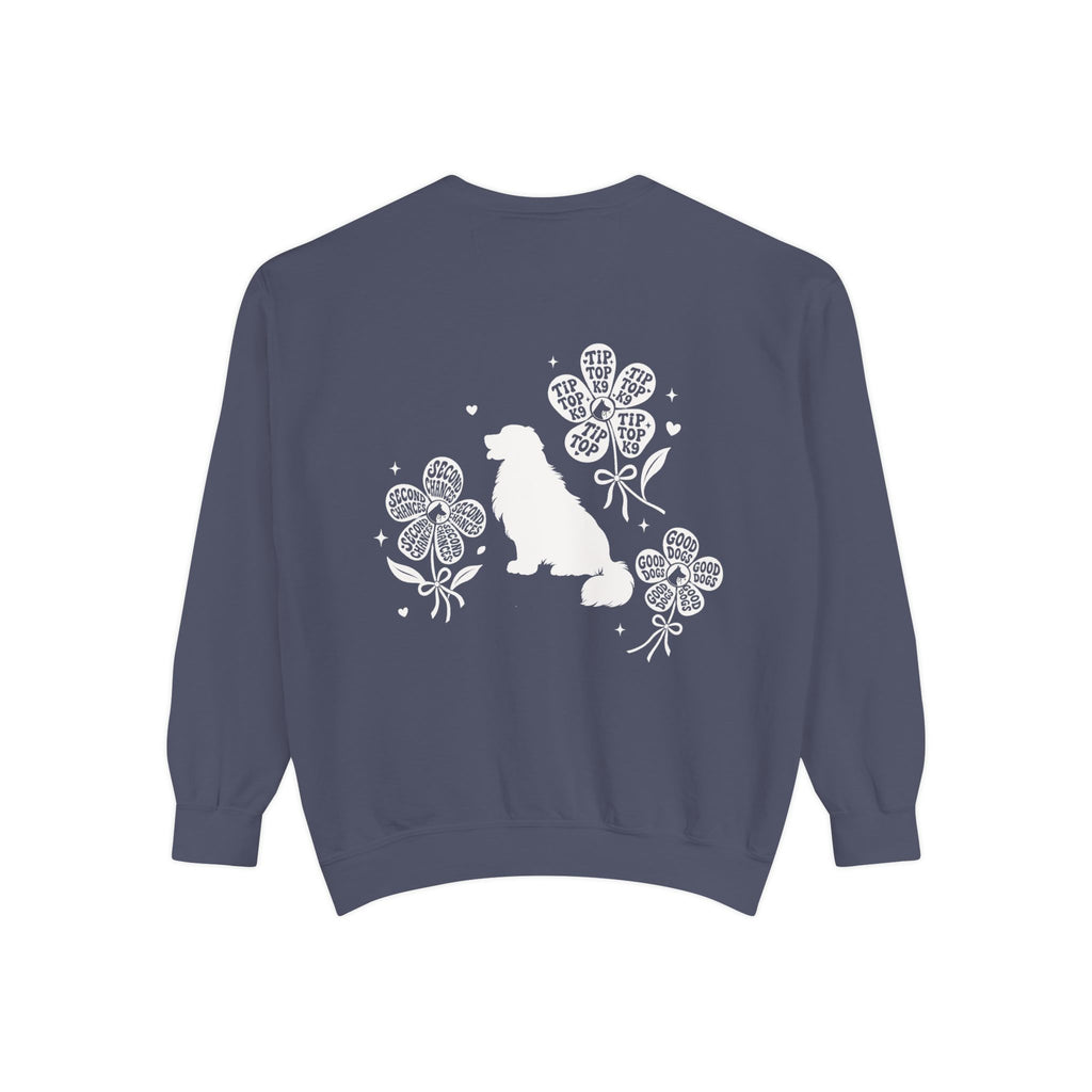 "April Showers Bring May Flowers" Inspired Dog Training Hoodie