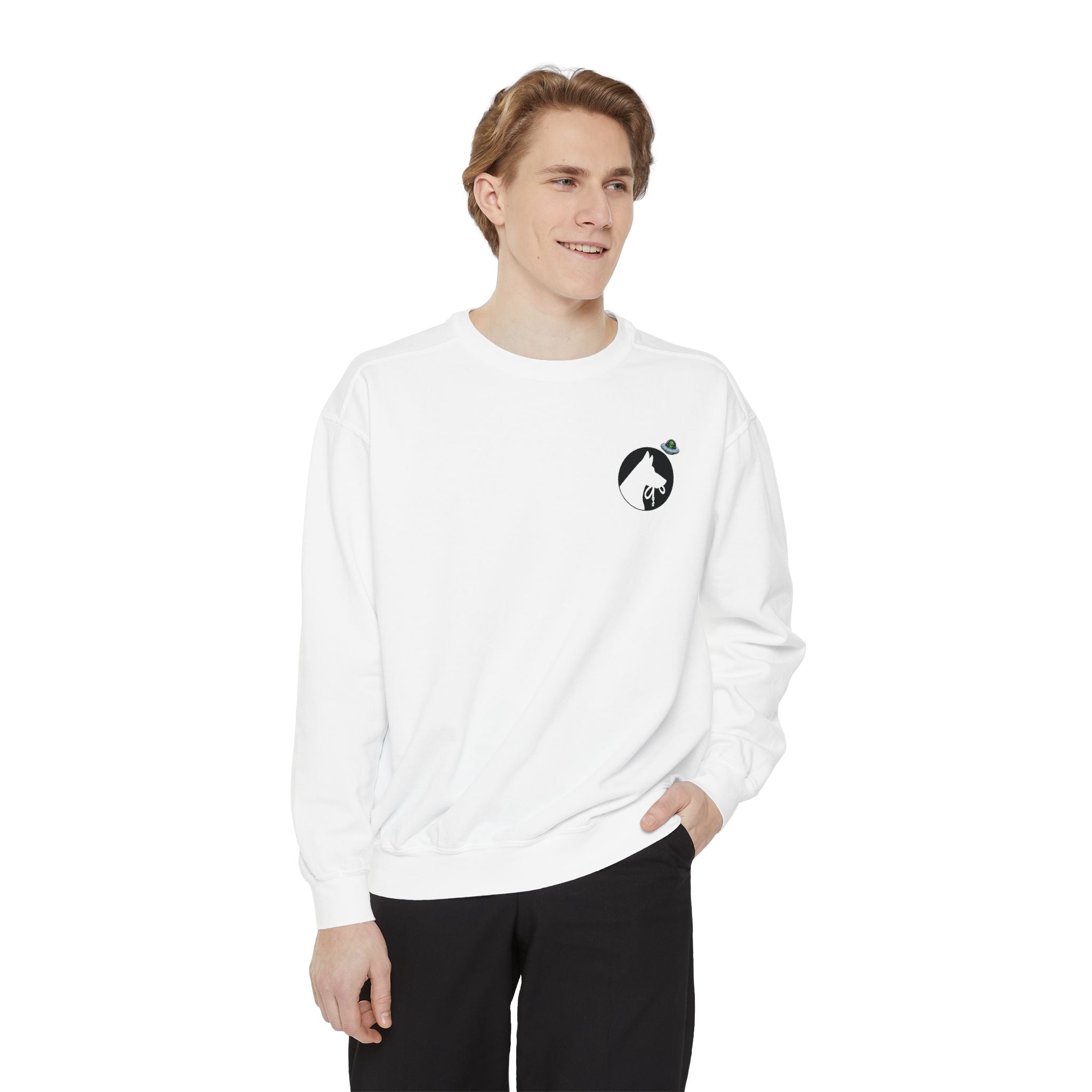 Out Of This World Dog Training Sweatshirt