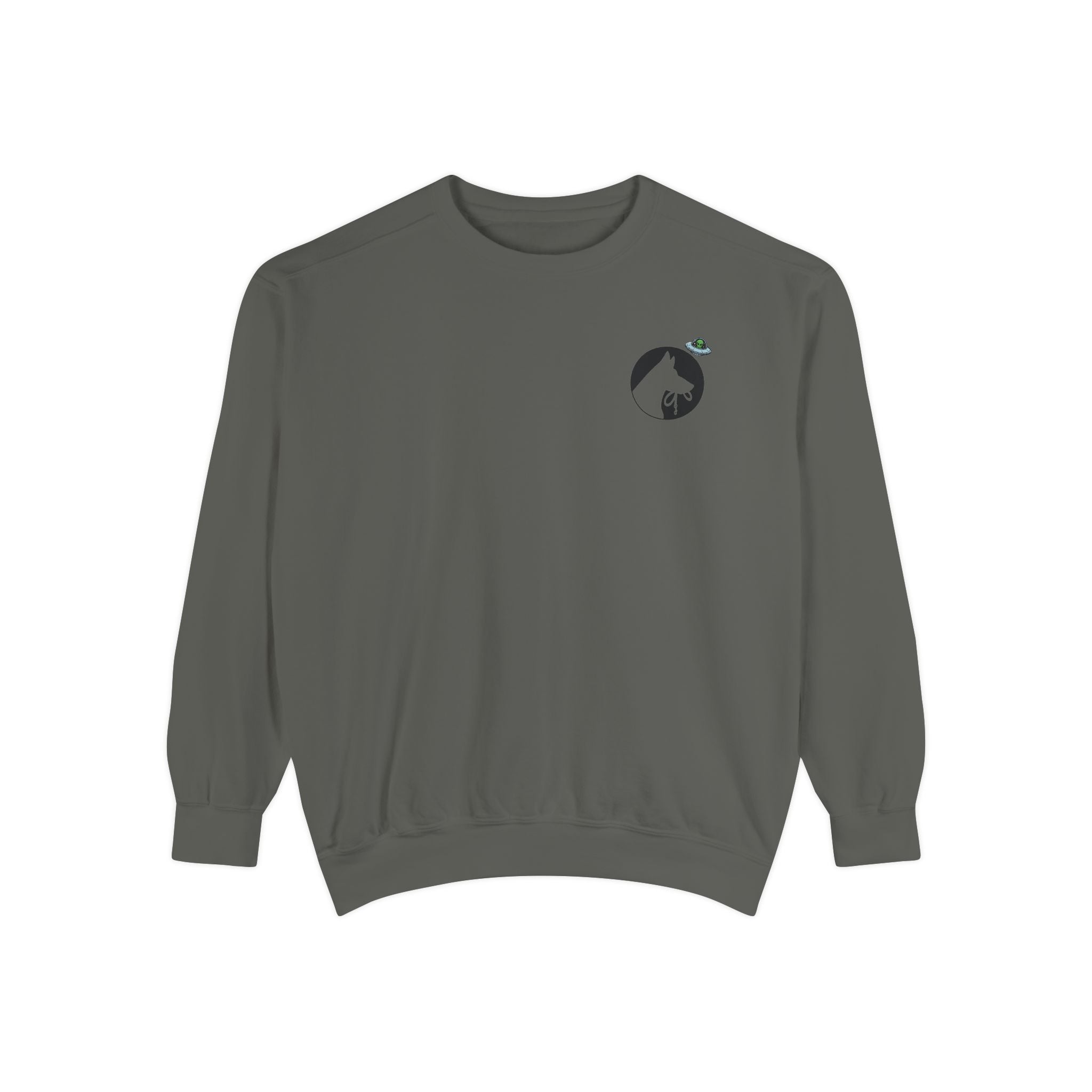 Out Of This World Dog Training Sweatshirt