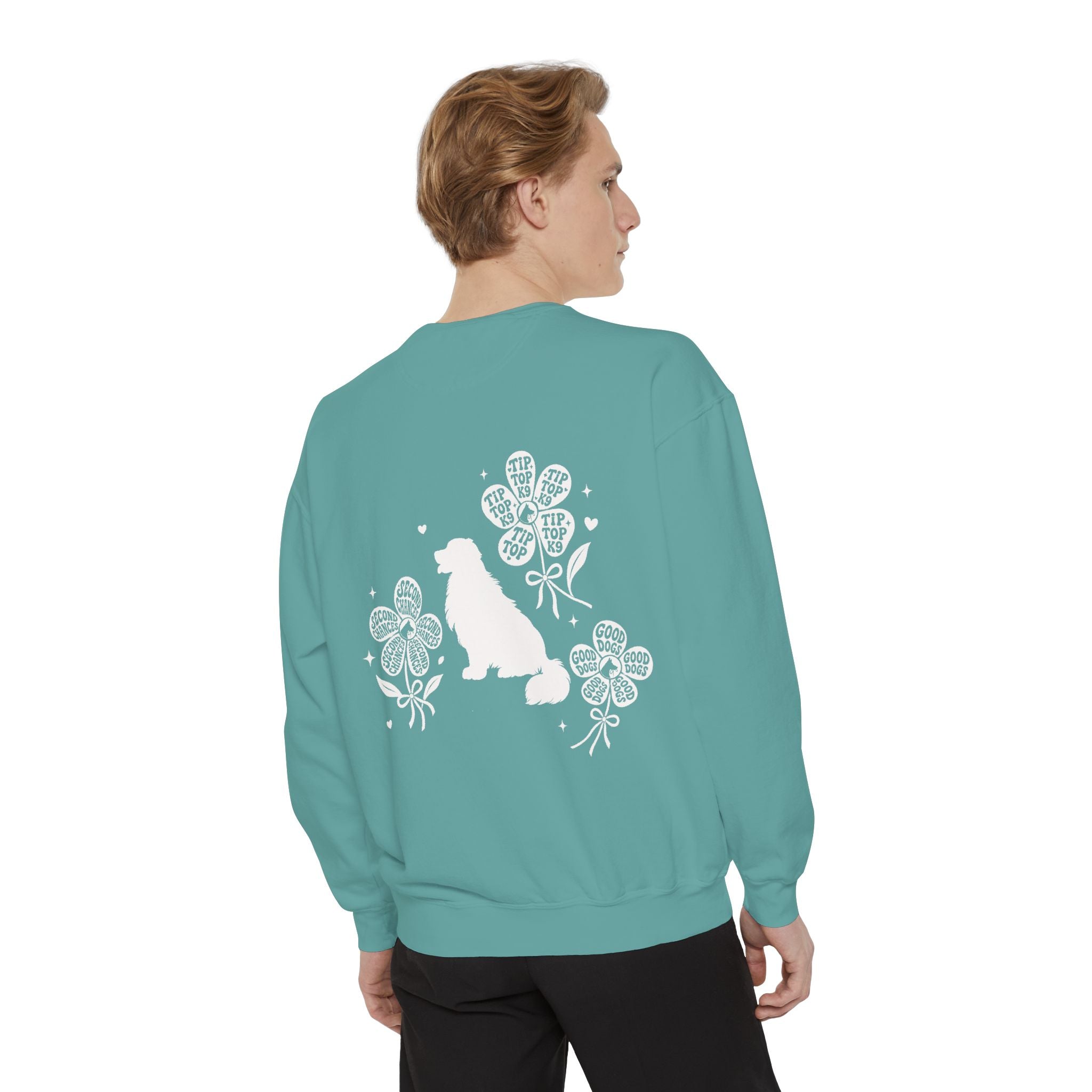 "April Showers Bring May Flowers" Inspired Dog Training Hoodie