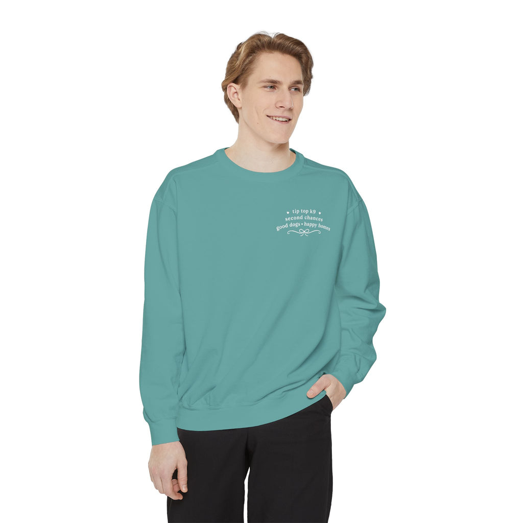 "April Showers Bring May Flowers" Inspired Dog Training Hoodie