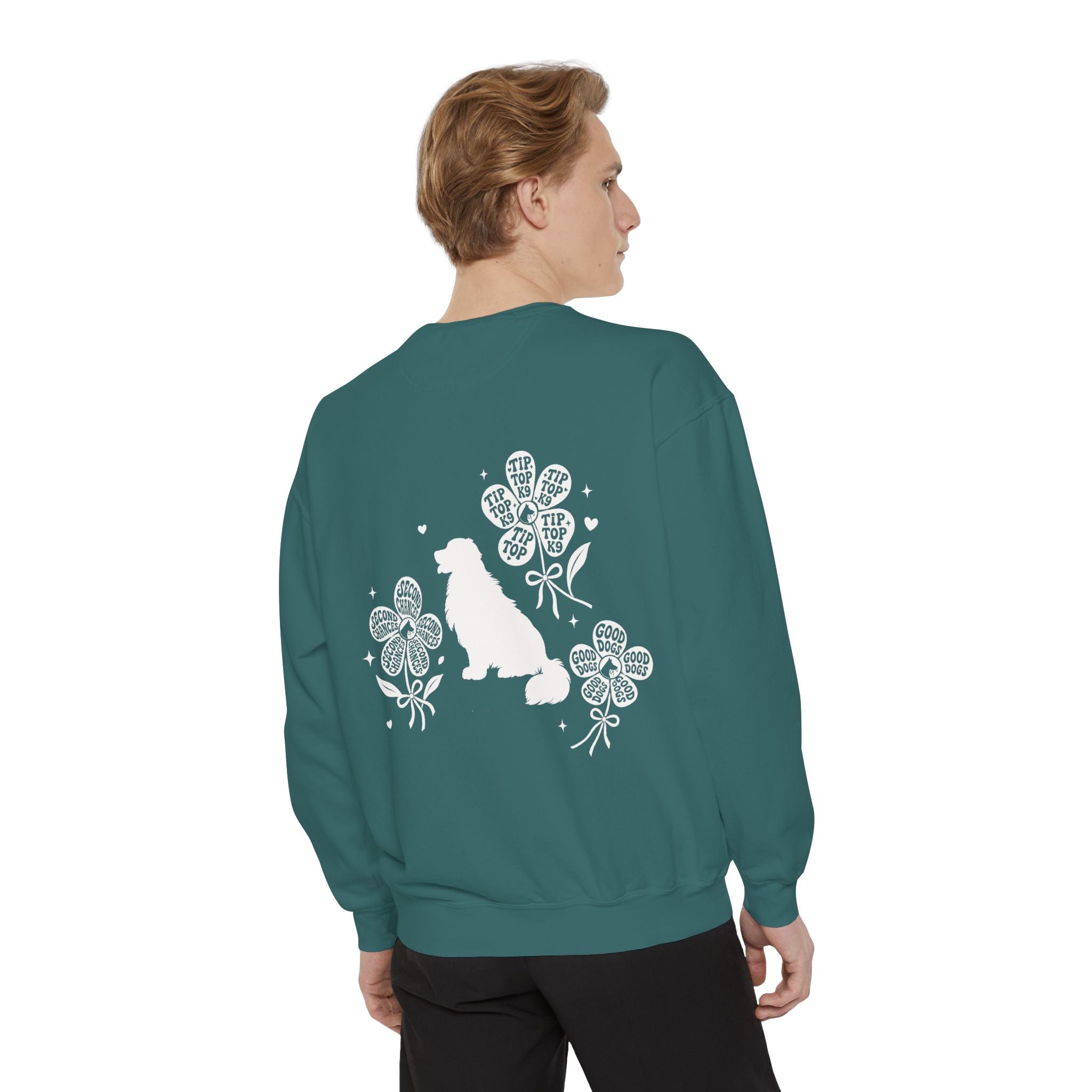 "April Showers Bring May Flowers" Inspired Dog Training Hoodie