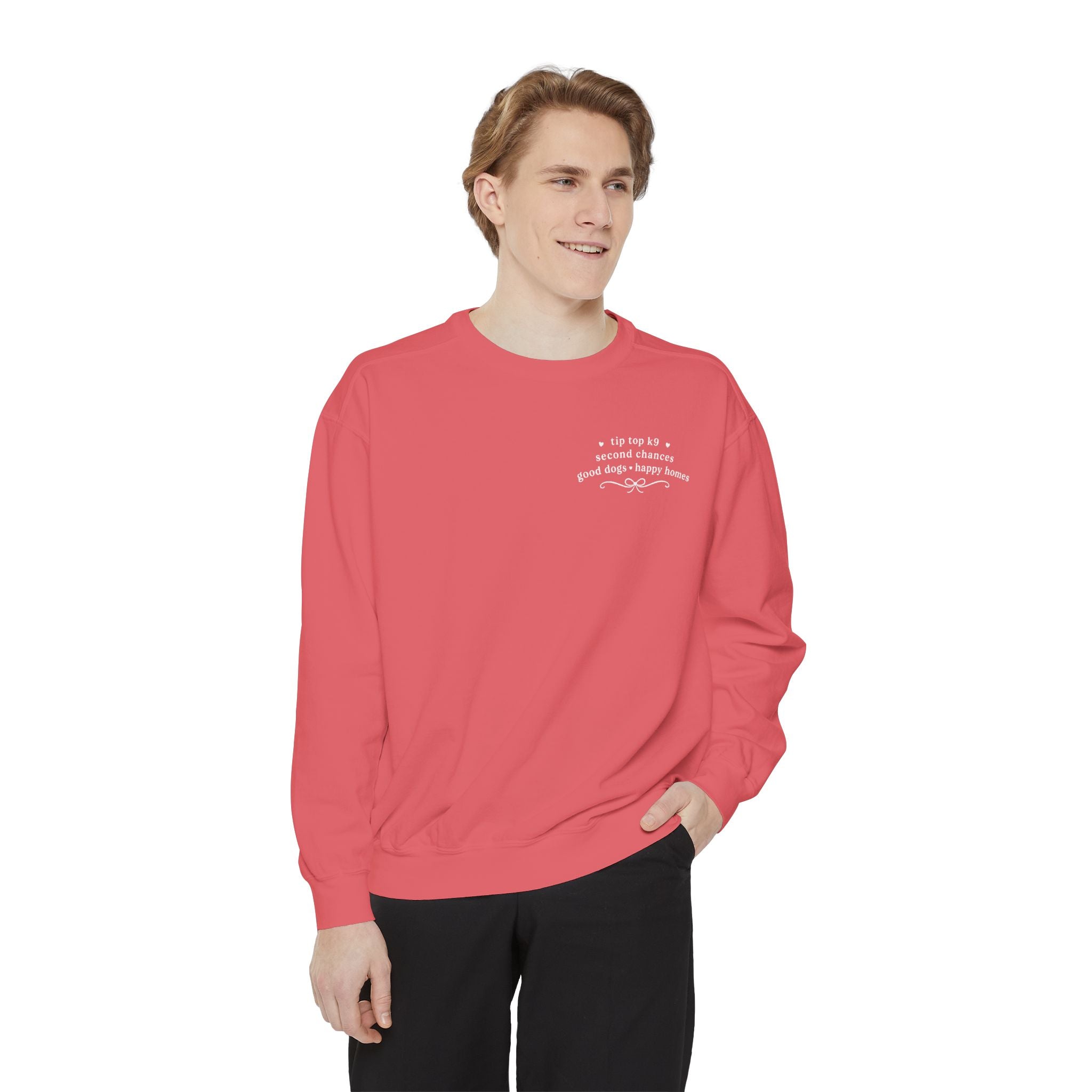 "April Showers Bring May Flowers" Inspired Dog Training Hoodie