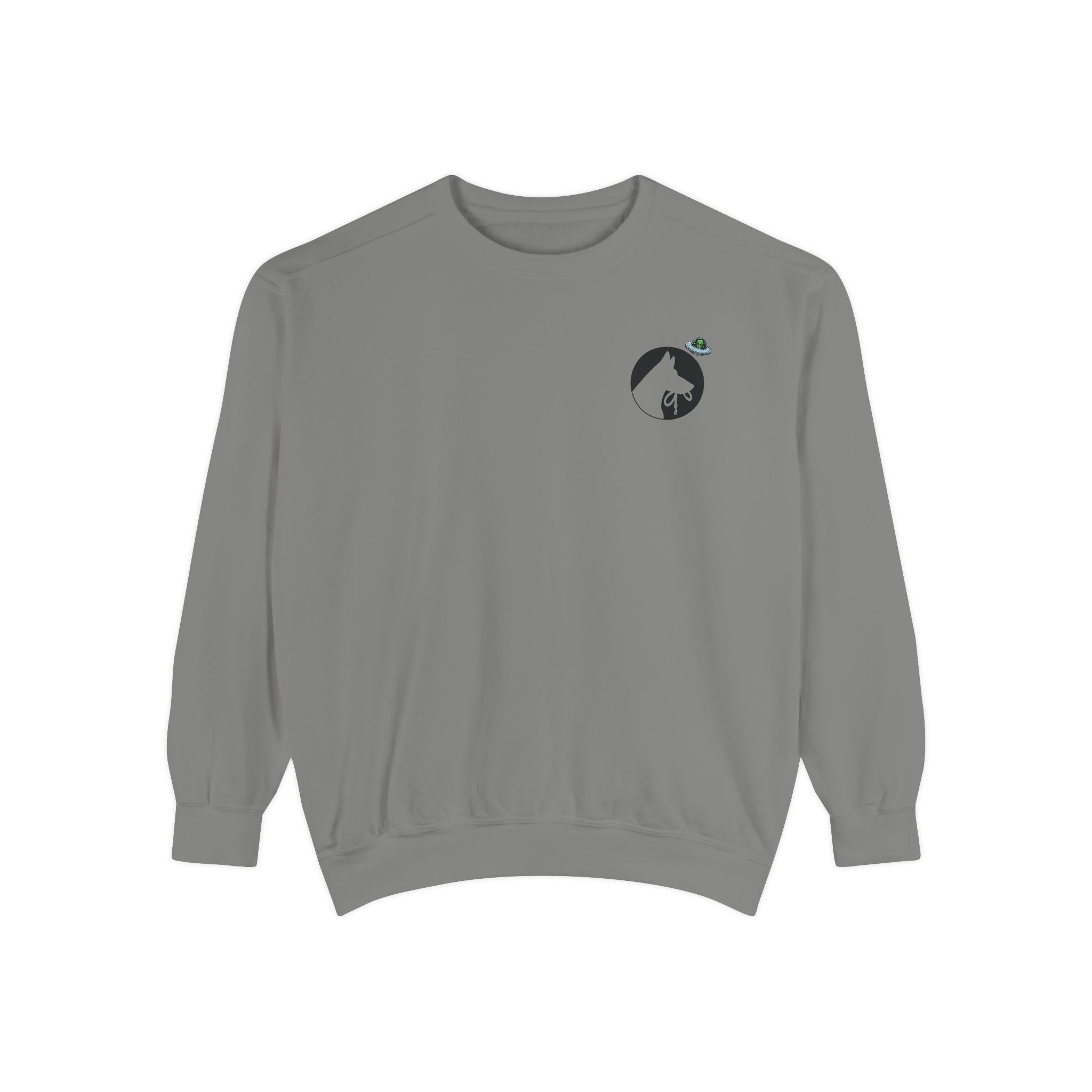 Out Of This World Dog Training Sweatshirt