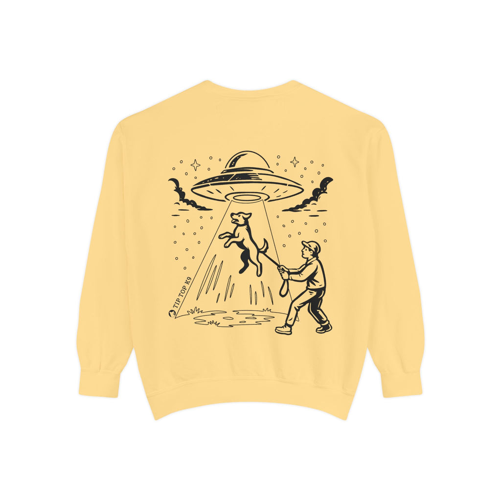 Out Of This World Dog Training Sweatshirt