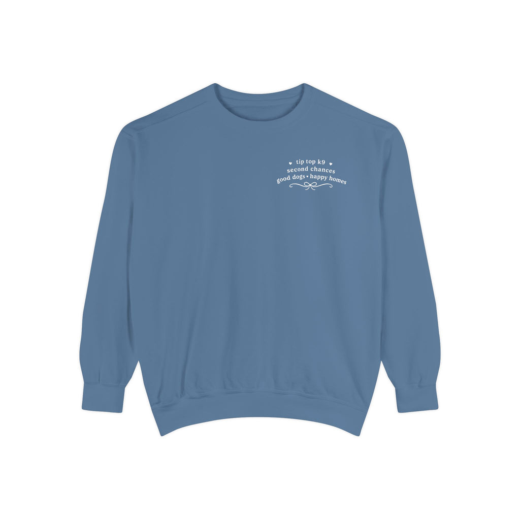 "April Showers Bring May Flowers" Inspired Dog Training Hoodie