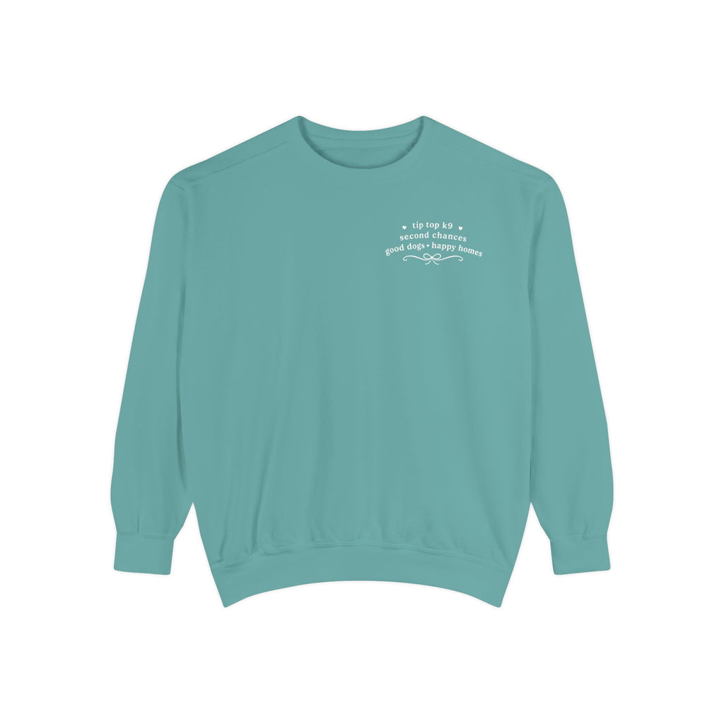 "April Showers Bring May Flowers" Inspired Dog Training Hoodie