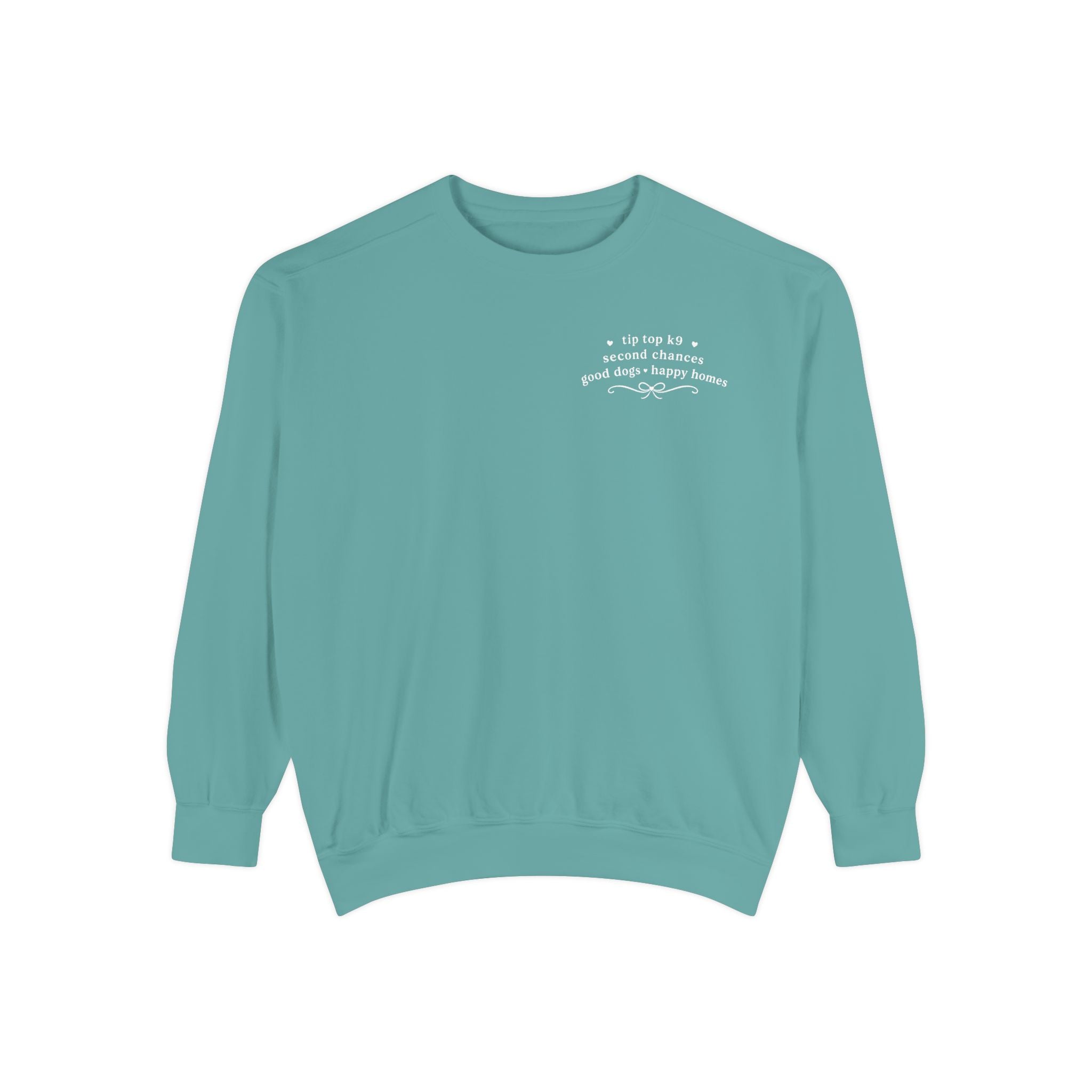 "April Showers Bring May Flowers" Inspired Dog Training Hoodie