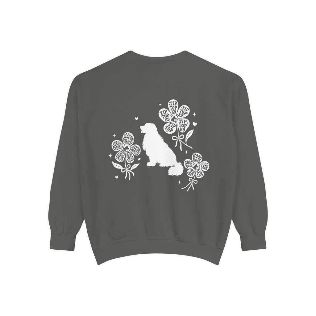 "April Showers Bring May Flowers" Inspired Dog Training Hoodie