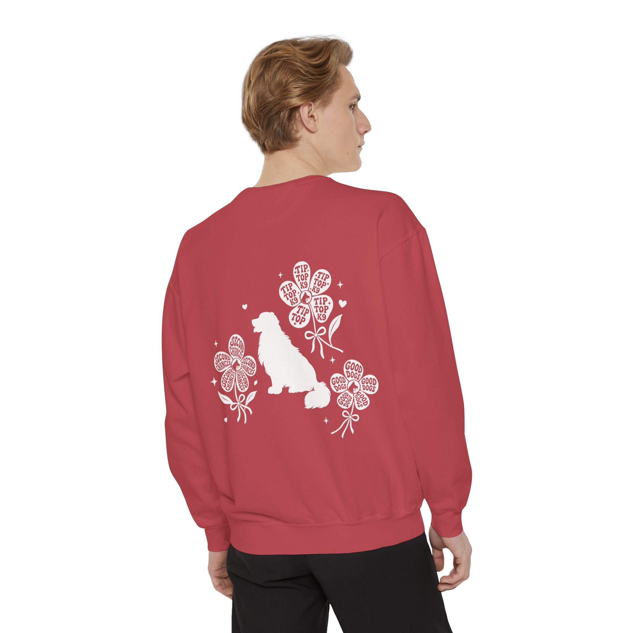 "April Showers Bring May Flowers" Inspired Dog Training Hoodie