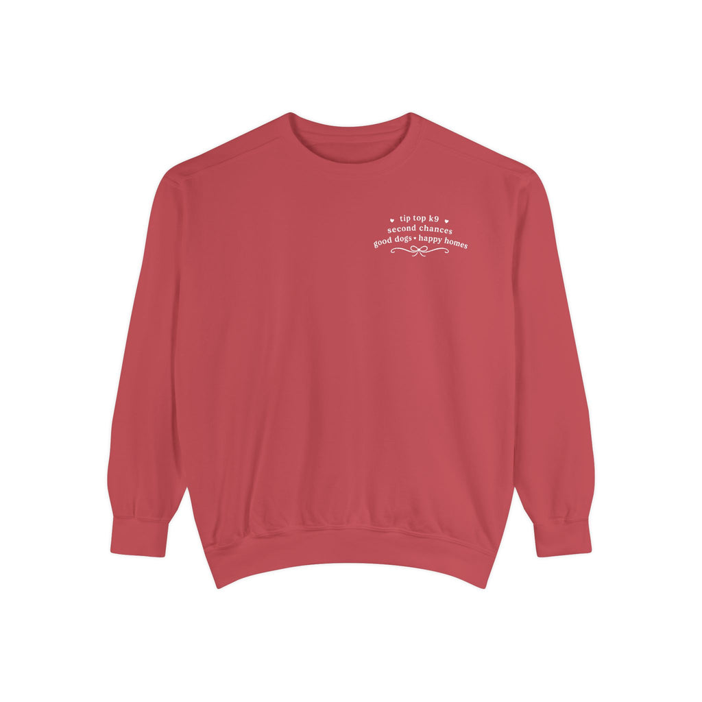 "April Showers Bring May Flowers" Inspired Dog Training Hoodie
