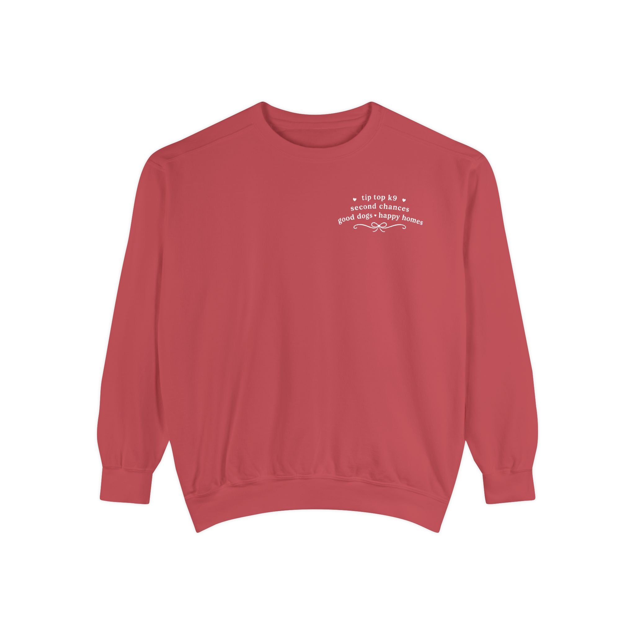 "April Showers Bring May Flowers" Inspired Dog Training Hoodie