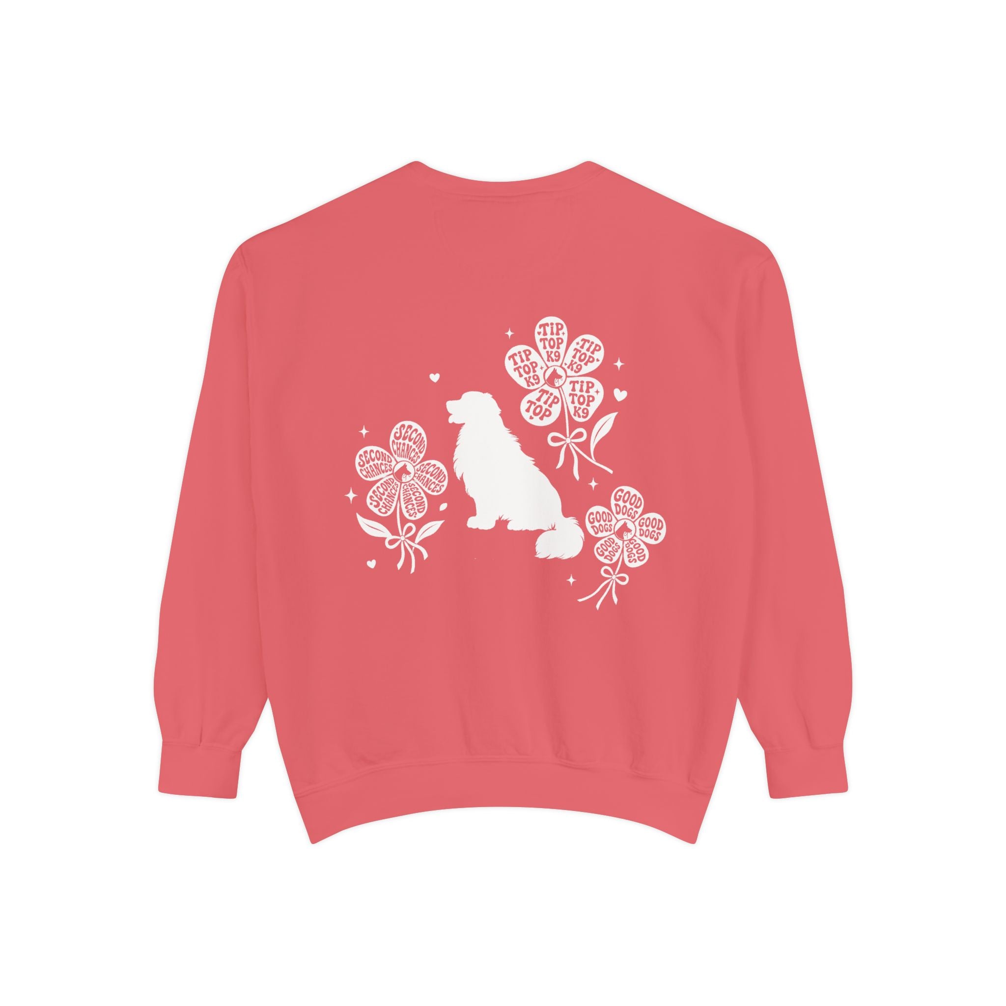 "April Showers Bring May Flowers" Inspired Dog Training Hoodie