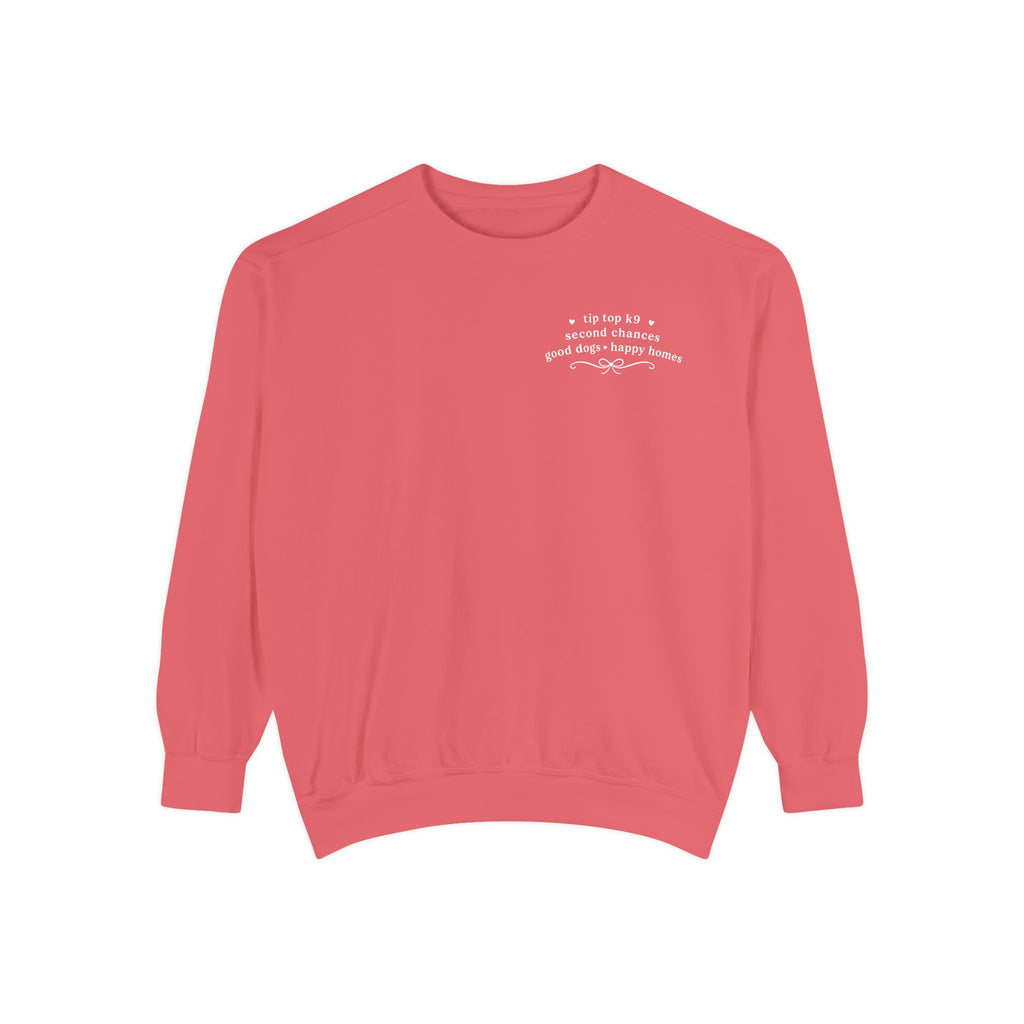 "April Showers Bring May Flowers" Inspired Dog Training Hoodie