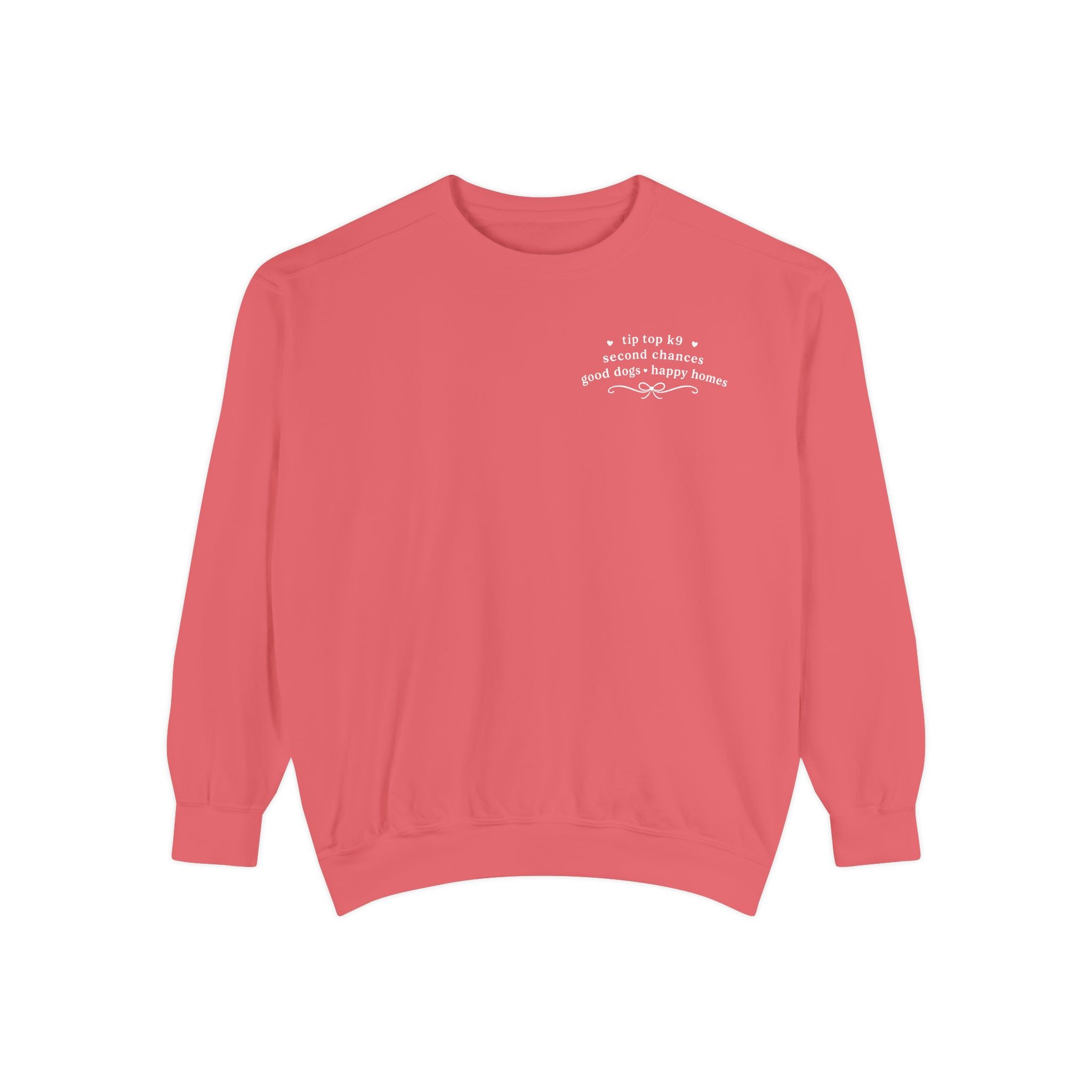 "April Showers Bring May Flowers" Inspired Dog Training Hoodie