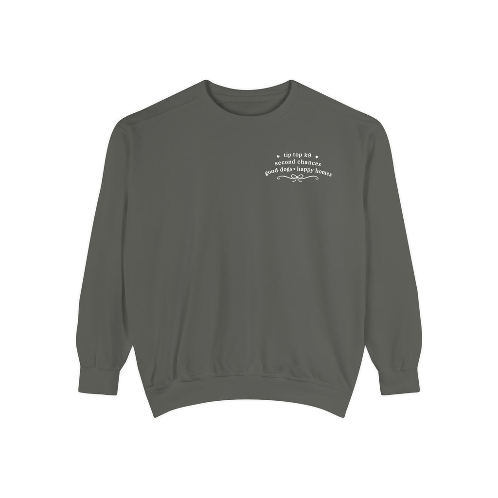 "April Showers Bring May Flowers" Inspired Dog Training Hoodie