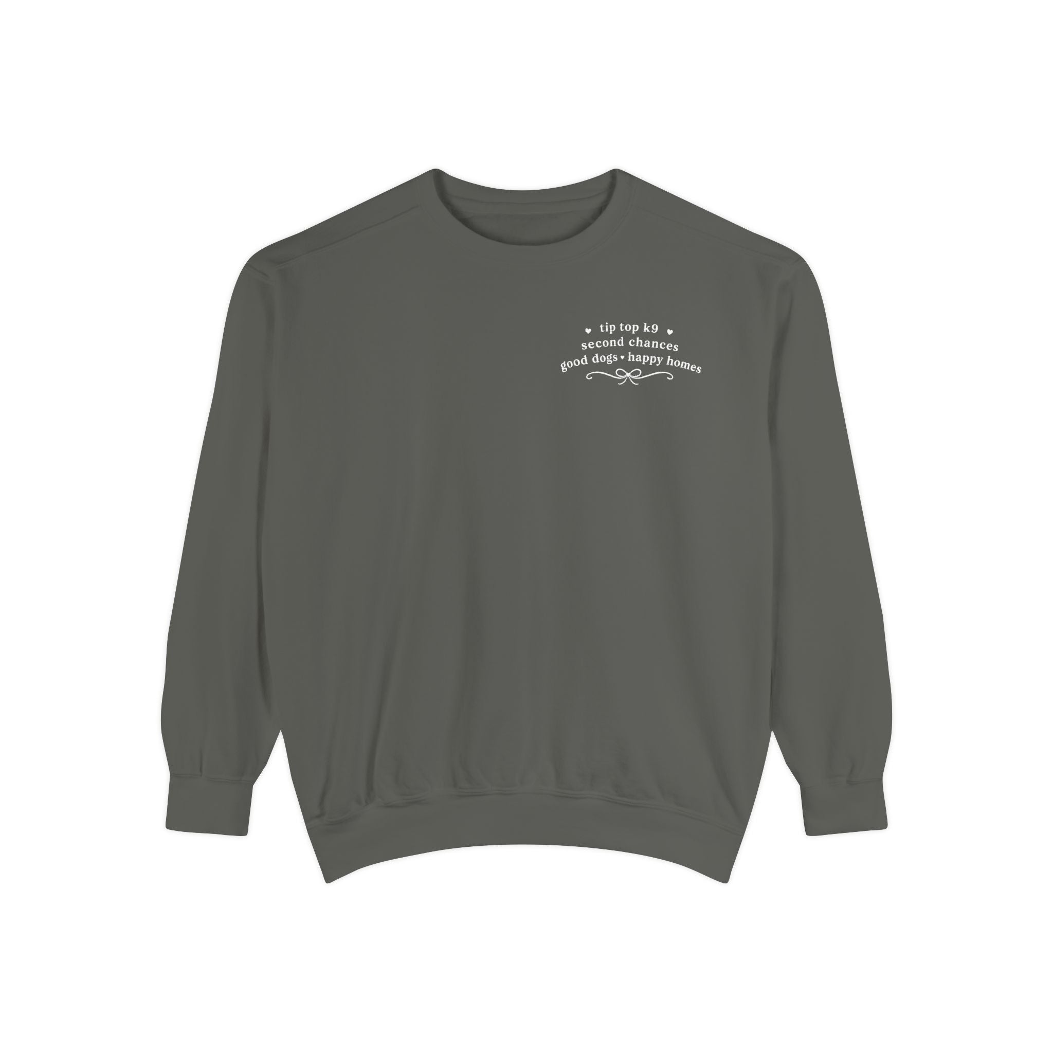 "April Showers Bring May Flowers" Inspired Dog Training Hoodie
