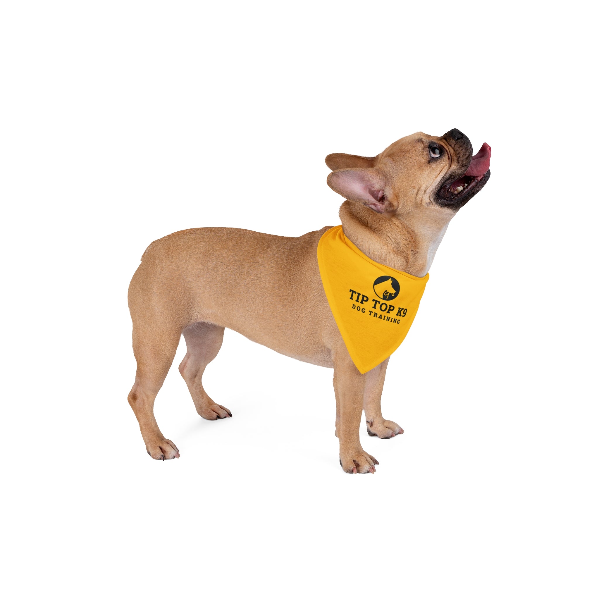 Small Tip Top K9 Yellow Bandana