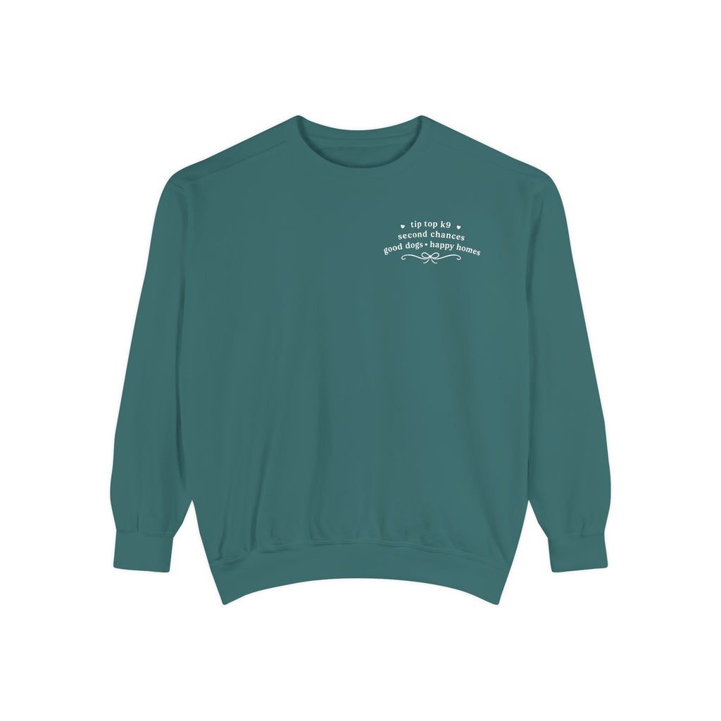 "April Showers Bring May Flowers" Inspired Dog Training Hoodie